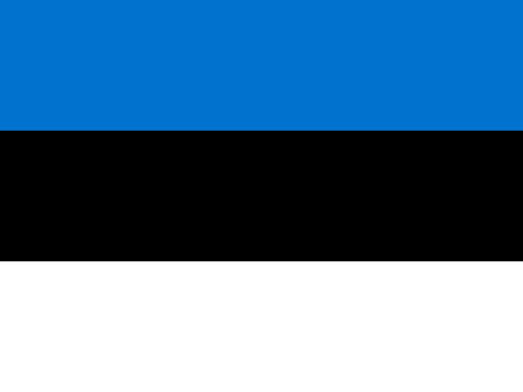 Estonia Server