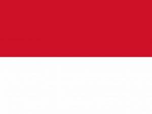 Indonesia Server Web Hosting Service in Indonesia Server