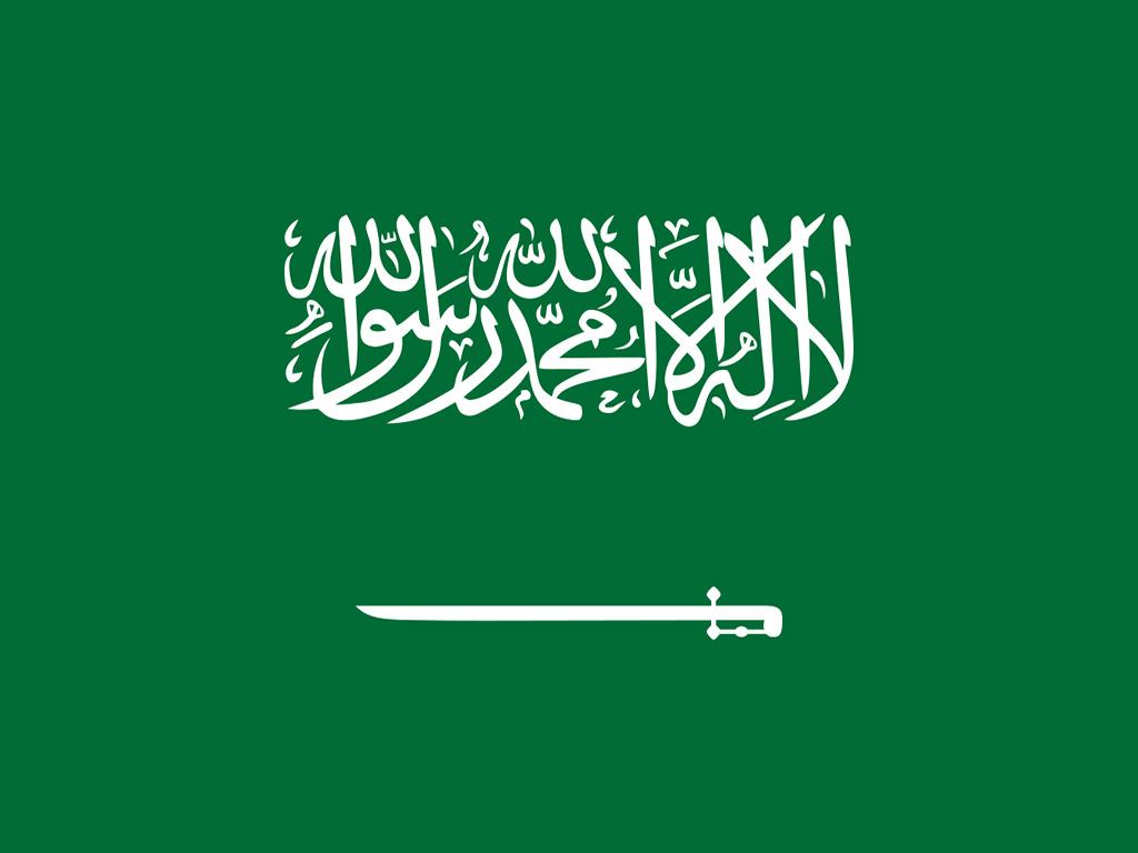 Saudi Arabia Server