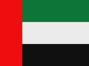 UAE Server Web Hosting Service in UAE Server